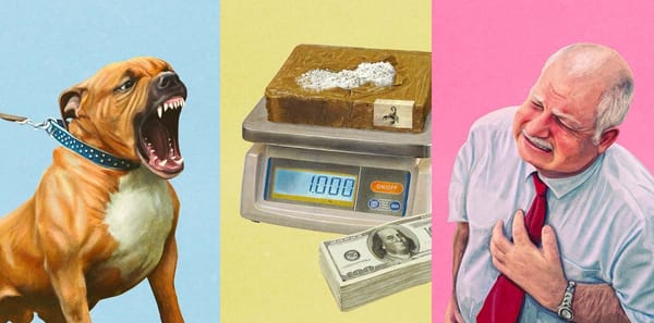 « P pour Porn » : la parodie géniale des livres d’apprentissage des années 70 en version adulte