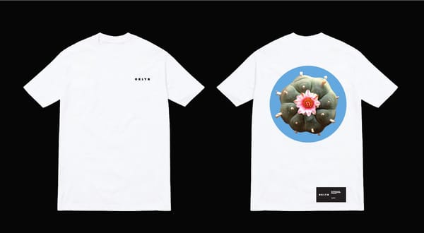 O K L Y N Univers Lecture No.2 BUTTONS