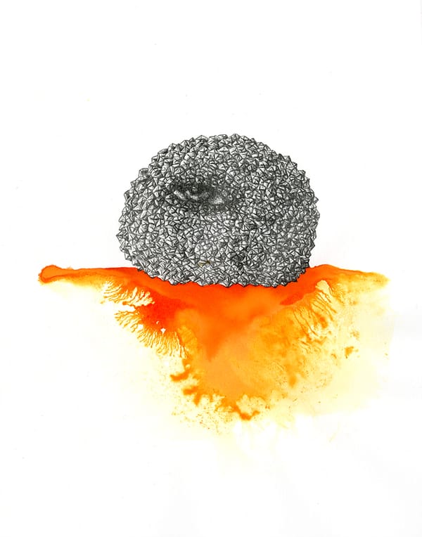 Les corps ravis : Justine Arnal