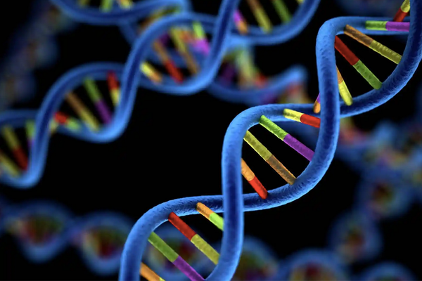 Une capsule orale capable de délivrer des vaccins ARNm au niveau cellulaire