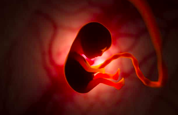 Une IA surveille en Chine des utérus artificiels humains autonomes