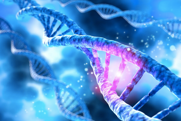 L’ARN du Pfizer modifie l’ADN des cellules humaines selon une étude suédoise