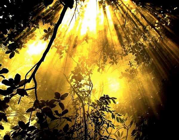 Rupert Sheldrake : « Le soleil est-il conscient ? »