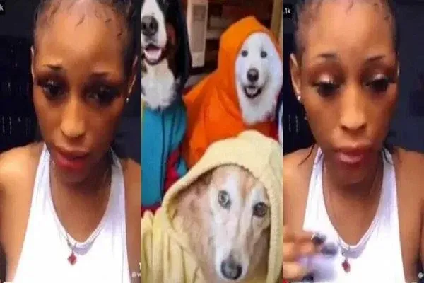 Affaire Dubaï Porta Porty : « Quel est le problème ? J’ai seulement couché avec un chien, je n’ai pas tué quelqu’un »