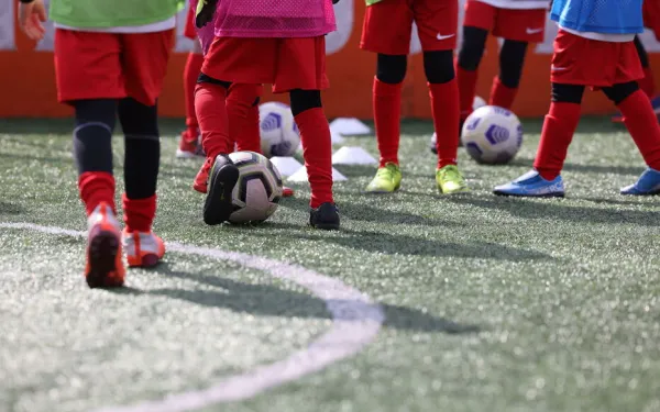 Le directeur du CNED de Toulouse arrêté pour exhibitionnisme devant des enfants avec un plug anal inséré