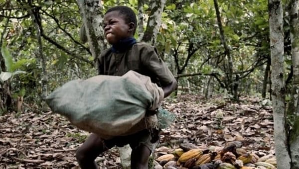 Reportage sur le travail épouvantable des enfants dans la culture du cacao en Côte d’Ivoire