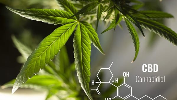 Troubles de l’humeur : les vertus du CBD