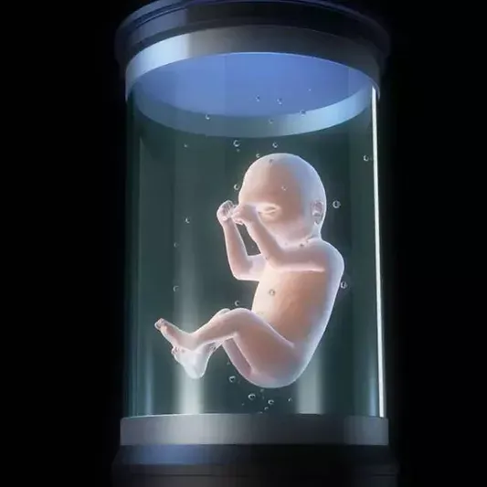 Scandale à venir : la présence de cellule de fœtus humains dans les assiettes françaises