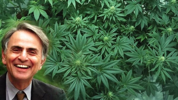 Carl Sagan : comment le cannabis a approfondi sa créativité, son empathie et son état d’esprit