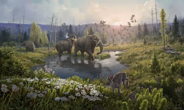 De l’ADN d’il y a 2 millions d’années révèle un monde arctique perdu