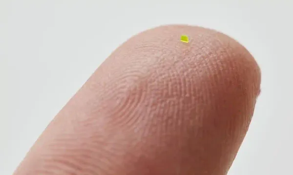 L’obscénité est à son comble : le sac microscopique « Louis Vuitton » se vend plus de 60 000 $