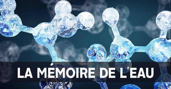 Lumière sur la Mémoire de l’Eau