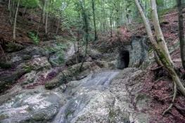 ➤ NOYAU DUR ∴ Les Frères des Cavernes, une très vieille histoire...