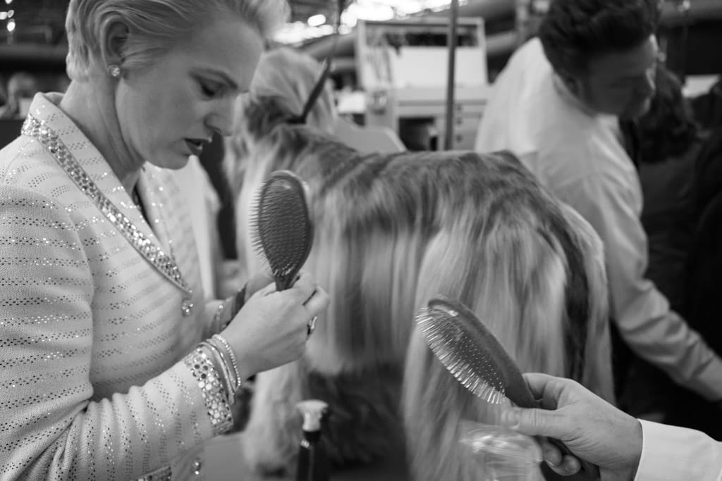 07_Murray_Afghan_Brushes