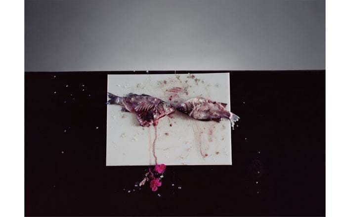 091029-paris-photo-2009.aspx30062ss_image56739