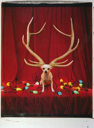 091030-tim-burton.aspx_ss_image_11