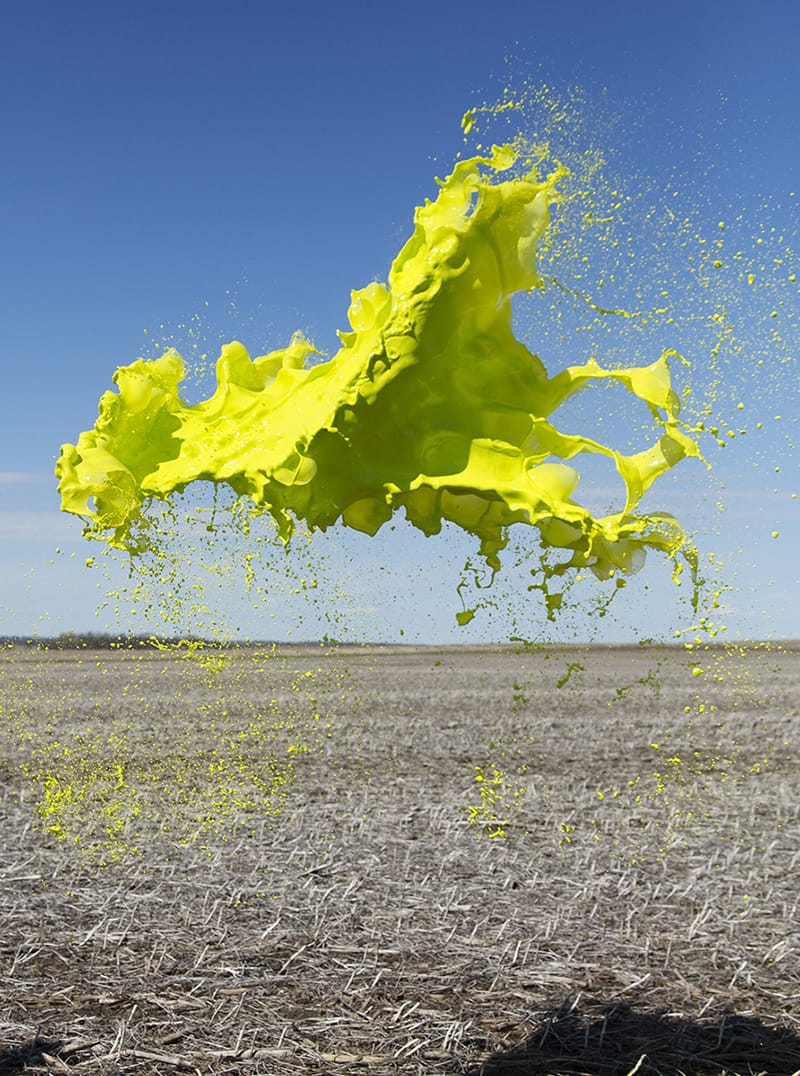 10476-8757692-f_w_002