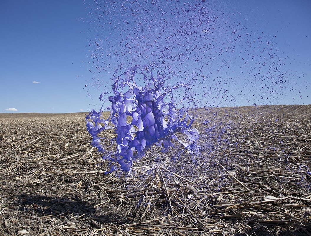 10476-8757695-f_w_004