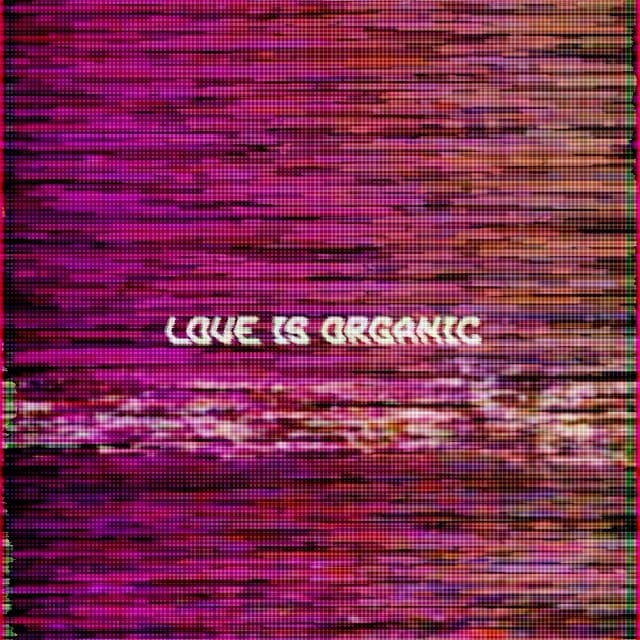 10894975_1532707260320110_370736781_n