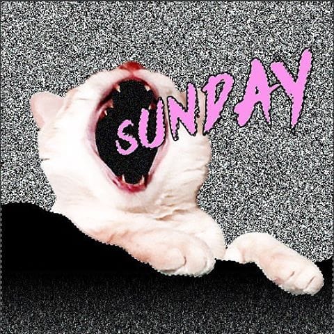 11909170_1068483039843493_462023012_n