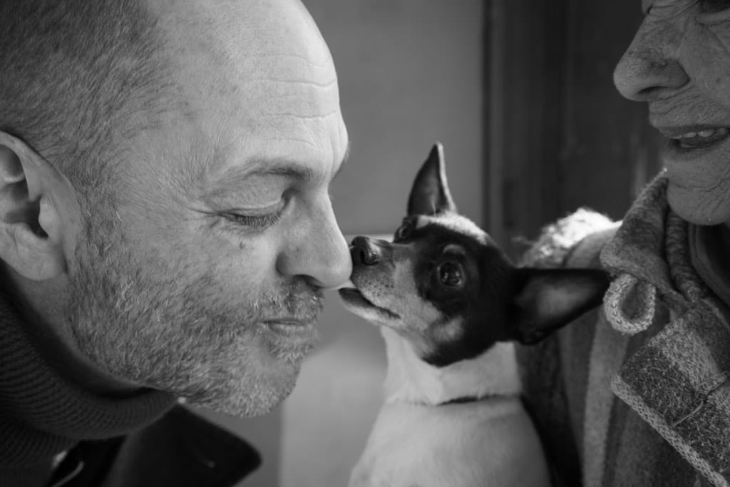 13_Murray_Miniature_Fox_Terrier_Kiss