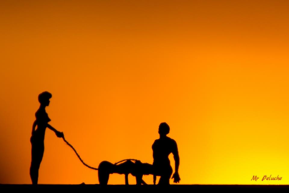 149642_110820872406599_1487252488_n