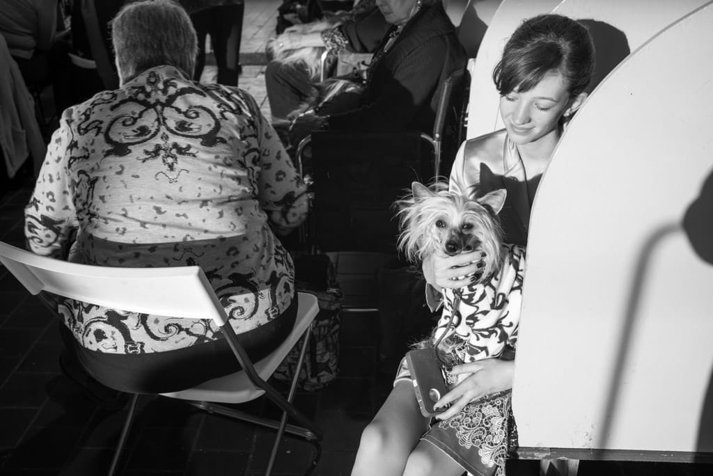 14_Murray_Chinese_Crested_Patterns