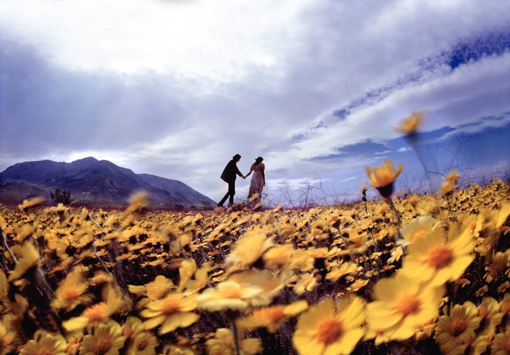 1_California_Here_We_Come_AAA-3