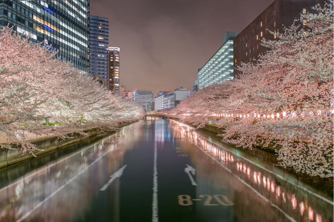 2014-07-05 13_09_10-Gabriel de la Chapelle - Photographe