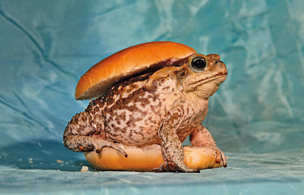 21catellan-moshakis-slide-LMYD-jumbo