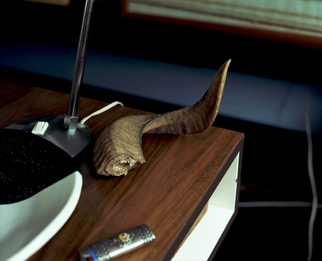 22__Portrait_de_ma_generation__J.Oppenheim-fabrice-1