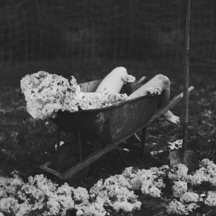 247411_103480619746365_1524036_n