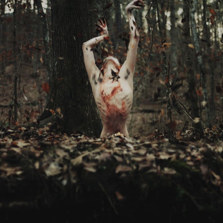 250081_103291979765229_1620495_n