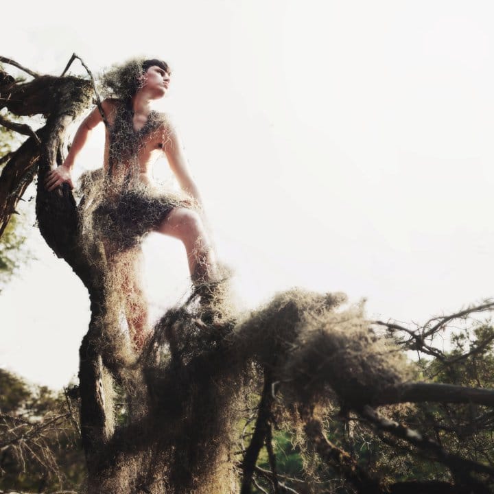 253574_103290039765423_4183700_n