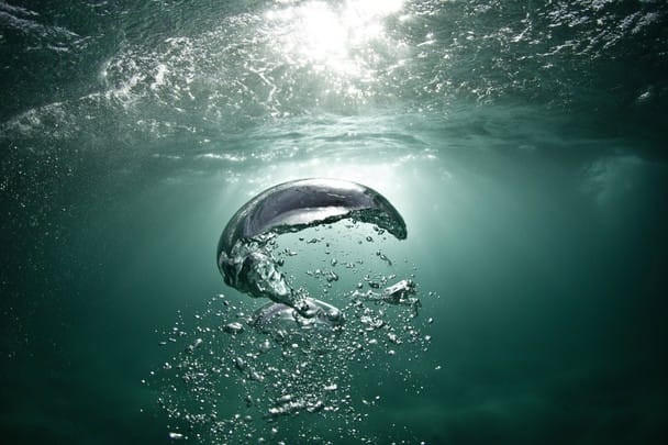 Mongolia: The Batsuuri family of Ulaanbaatar Food expenditure for one week: 41,985.85 togrogs or $40.02 Family recipe: Mutton dumplings.