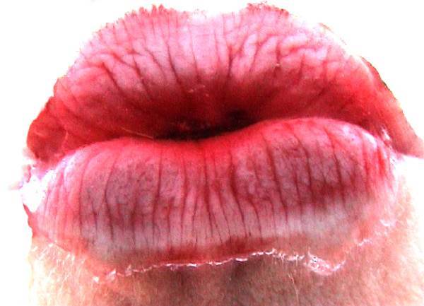 2808730,property=imageData,maxWidth=634,scale=unproportional,templateId=scaled,v=5,CmPart=com.arte-tv.www