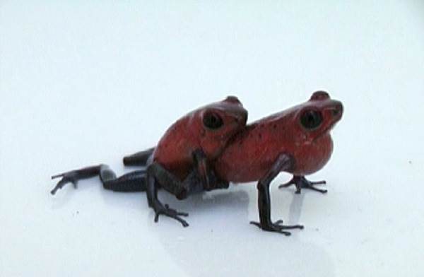 2814934,property=imageData,maxWidth=634,scale=unproportional,templateId=scaled,v=5,CmPart=com.arte-tv.www