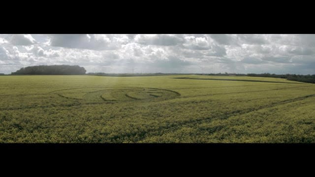 302816_4220975282330_85740470_n