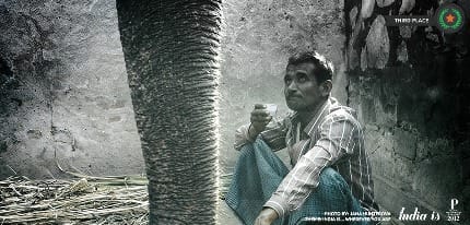 380661_535483923130699_657397902_n