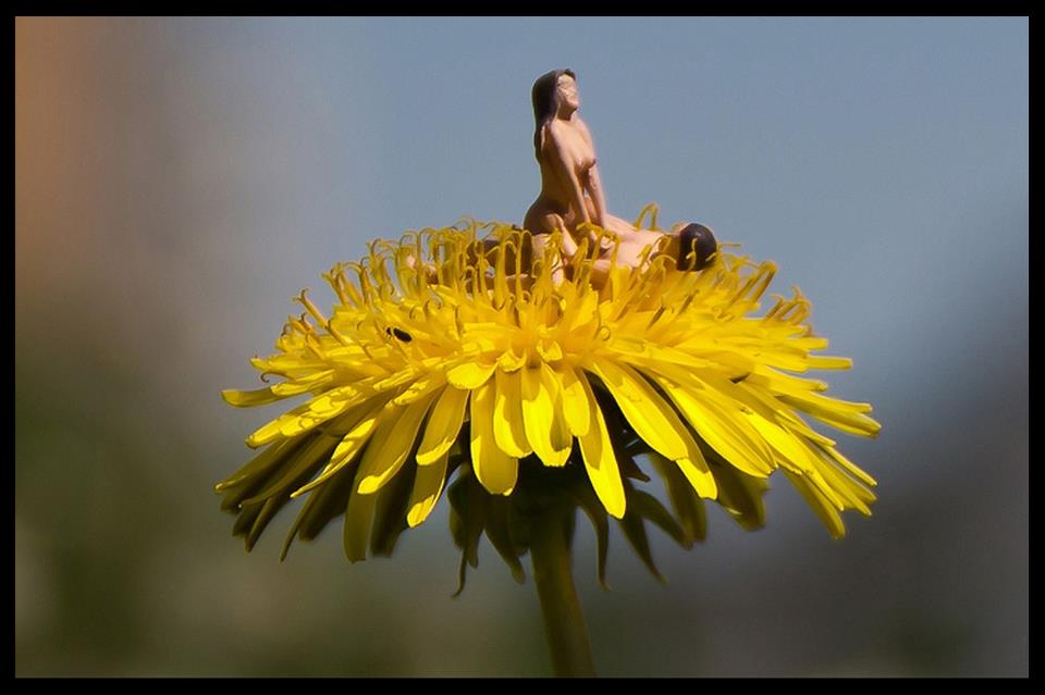 539263_156161484539204_2117824322_n