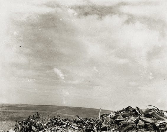 1945, Iwo JIma
