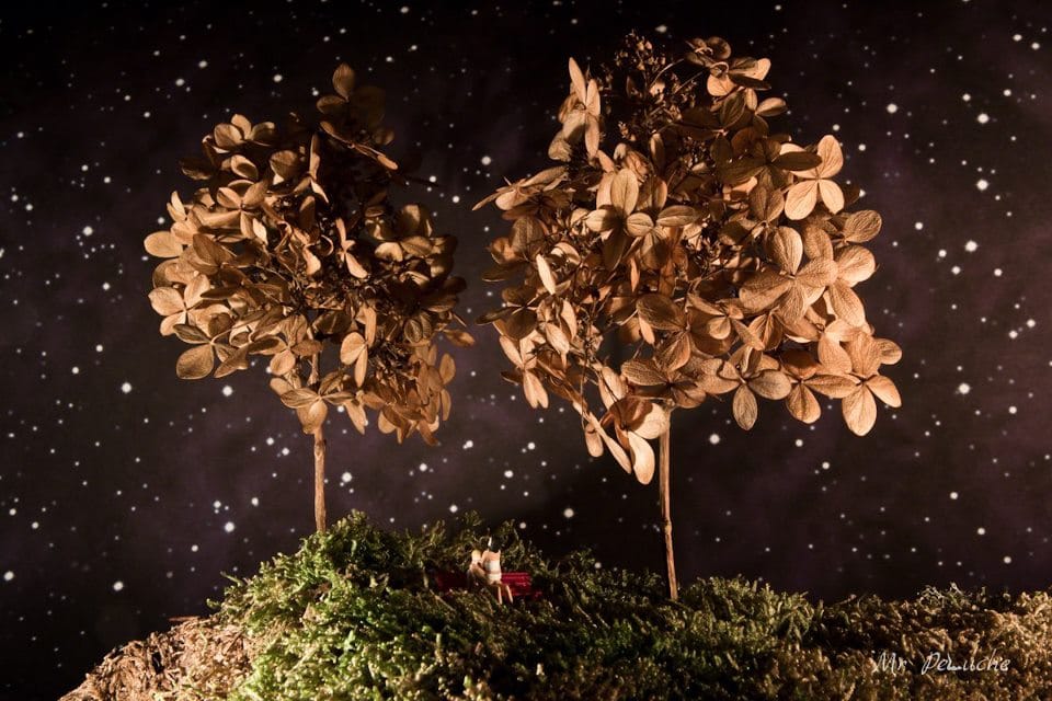 603312_142302962591723_1009225518_n