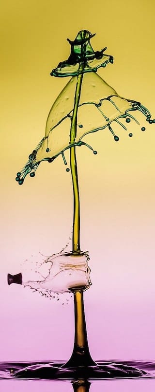 627835576fac5d347ee1b8a81f3e0b58