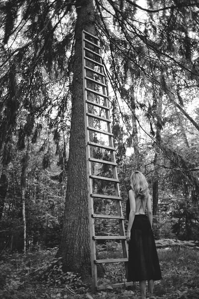 6d2137b2219b65b29546ba4a6c54b07d