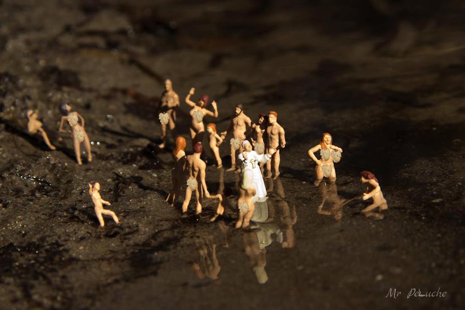 733857_164809780341041_2135209477_n