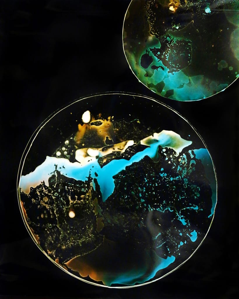 80c91668564bec50-Tatiana_GULENKINA_08