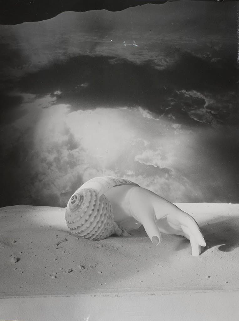 859-1-Q-main_5Fet_5Fcoquillage-36-L