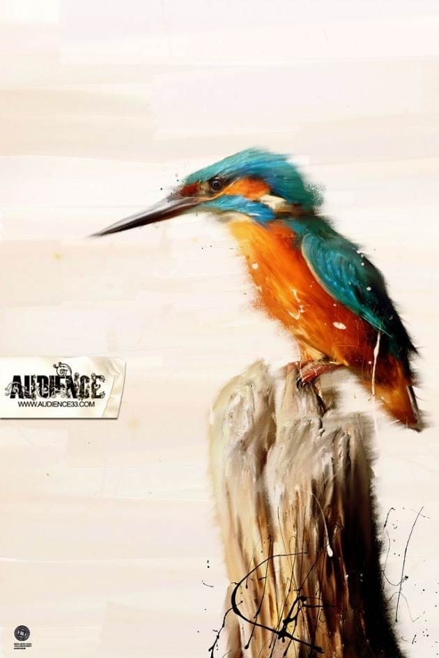 audience33-02-630x944