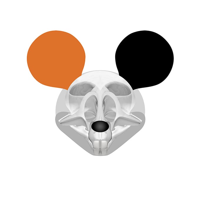 autopsy-of-mickey-retina