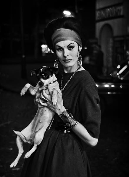 b77290d6a1d6412bfcd8db134e5aaf79-large